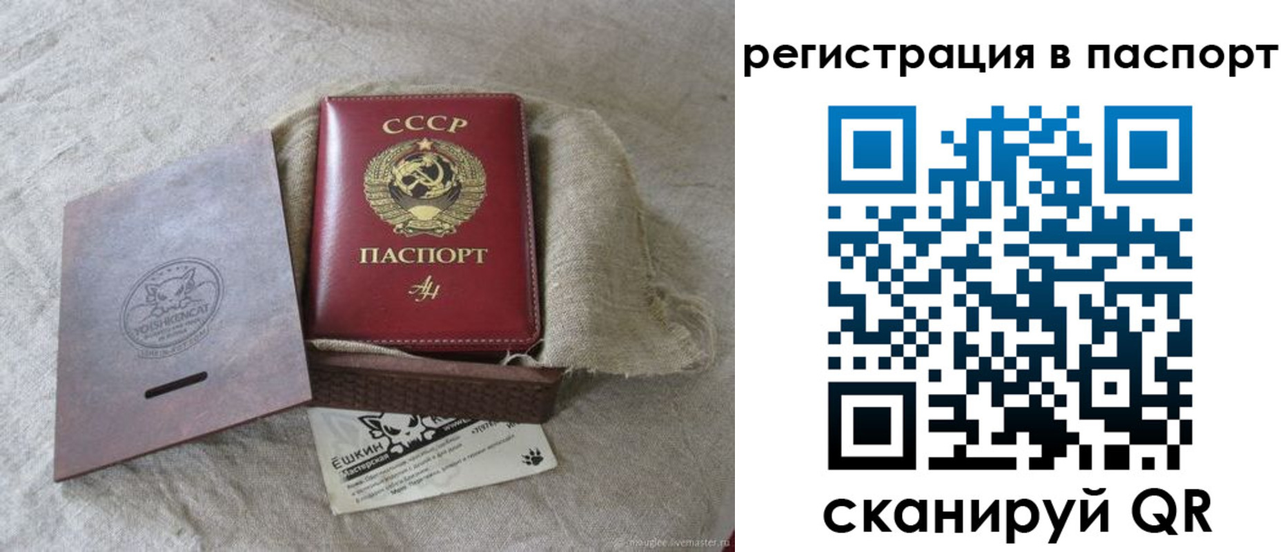 где прописаться в Мордовии